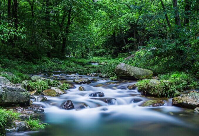 金鞭溪美圖欣賞