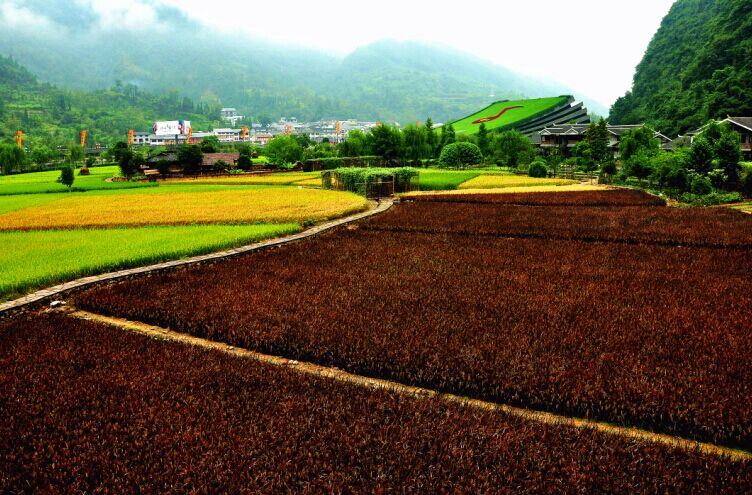 五彩斑斕黃龍洞